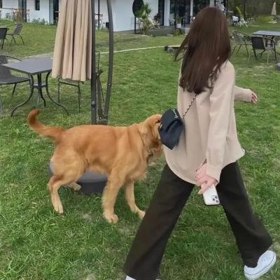 我是乔治娜第二季