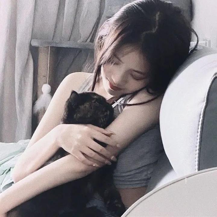 狮子军龙虎鬪